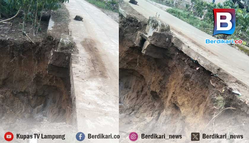 Bahu Jalan Way Seluang–Sidodadi Amblas Dihantam Hujan, Akses Terancam Putus