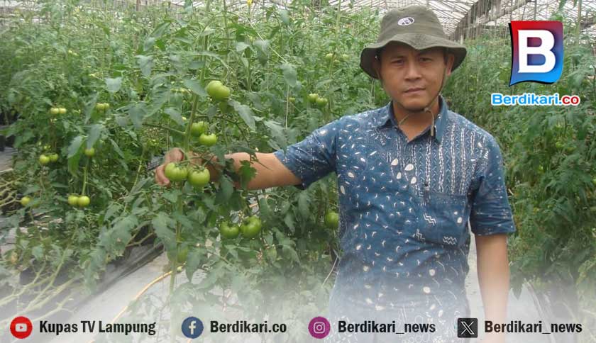Cetak Sawah 5.000 Hektare di Lampung Harus Berkualitas, Pemerhati Ingatkan Petani Jangan Jadi Korban Proyek
