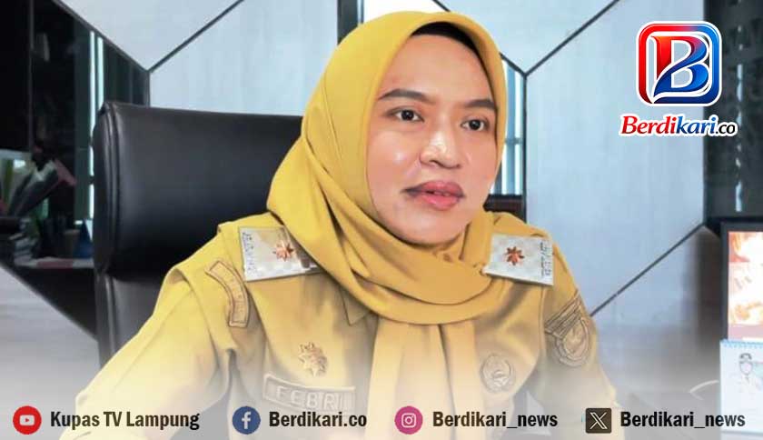 Dalam 2,5 Bulan, DPMPTSP Bandar Lampung Terbitkan 4.699 NIB