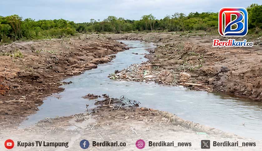 Danau Asam Suoh Terancam Kering, Proyek Revitalisasi Jadi Sorotan Warga