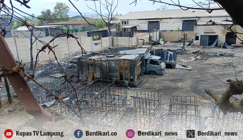 Gudang Penimbunan Solar Diduga Milik Oknum Anggota Brimob, Kapolda Lampung: Kasus Sedang Didalami