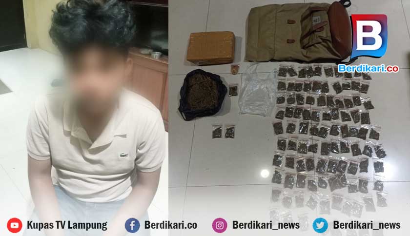 Jadi Pengedar Ganja, Mahasiswa Asal Bukit Kemuning Lampura Ditangkap Polisi