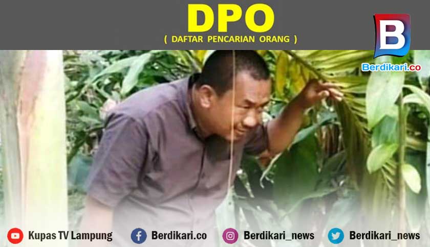 Keponakan Musa Ahmad Masuk DPO Kasus Penipuan Proyek, Rosali: Kita Akan Panggil Bupati Lamteng