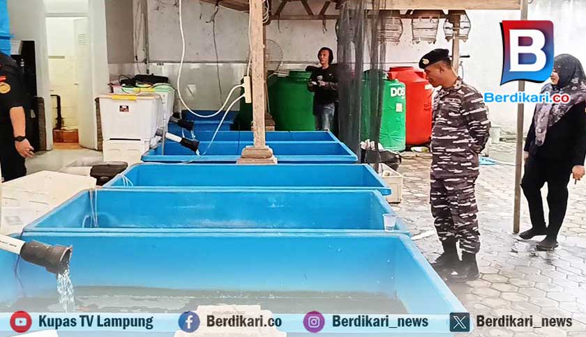Berita