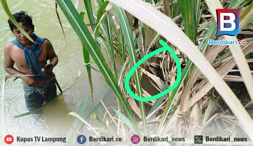 Mayat Perempuan Ditemukan di Aliran Kali Pasir Lambar