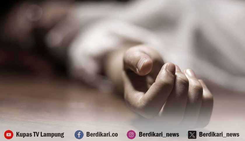 Berita