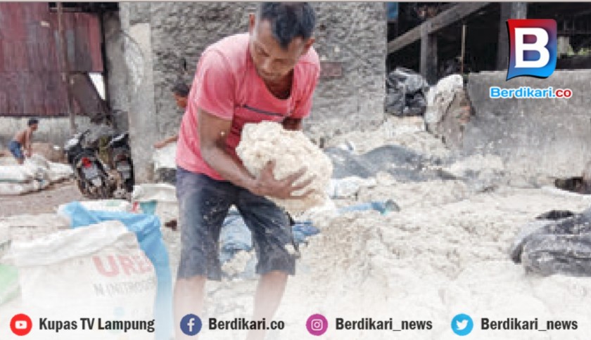 Berita