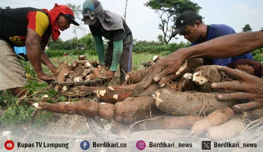 Berita