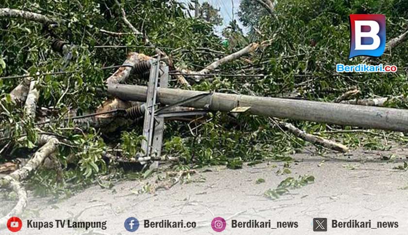 Berita