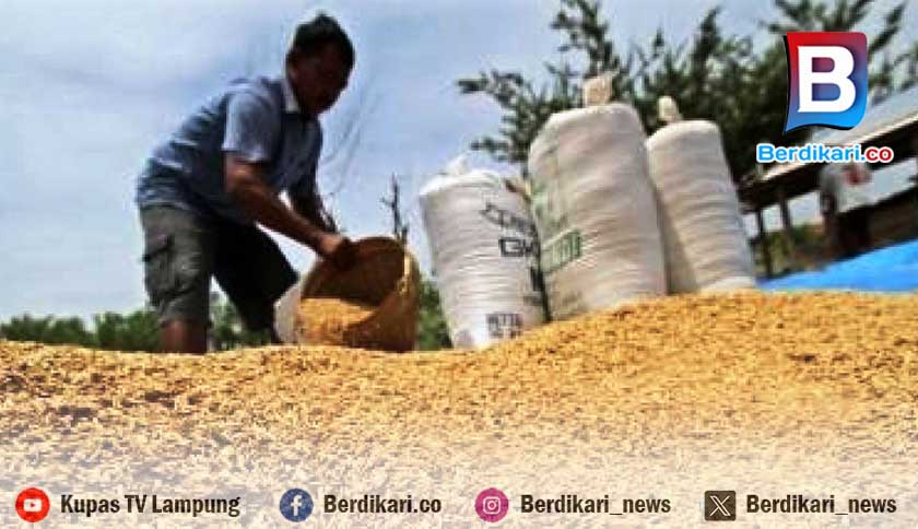Polisi Tangkap 4 Penipu Petani Hingga Rp 380 juta di Lamtim