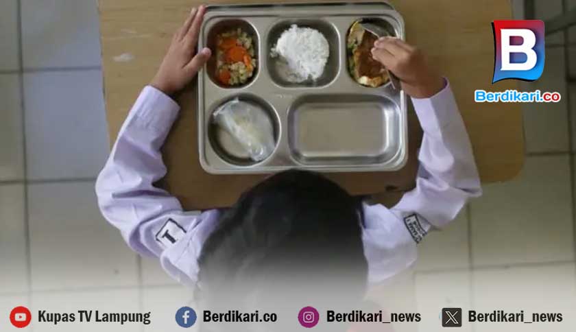 Rentan Dikelola Pihak Tak Berpengalaman, Program MBG Perlu Pengawasan Ketat