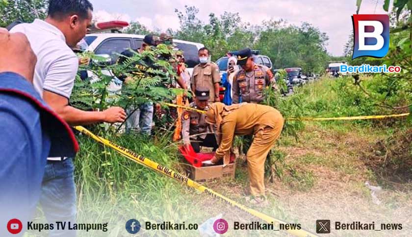 Tukang Rongsok Temukan Mayat Bayi di Perkebunan Karet Jati Agung Lampung Selatan