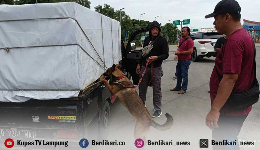 Turunkan Tim K-9, Bareskrim Polri Gagalkan Penyelundupan 80 Kg Sabu di Bakauheni