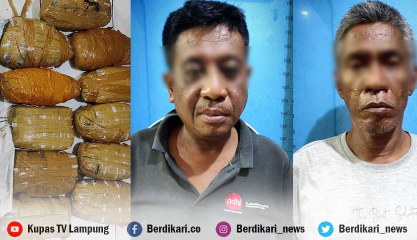 Ungkap Sindikat Narkoba Antar Provinsi, Polres Lampung Tengah Amankan 2 Pelaku dan 11 Kg Ganja