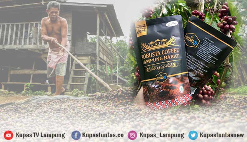 West Lampung Indonesia Forms Coffee Industry Center