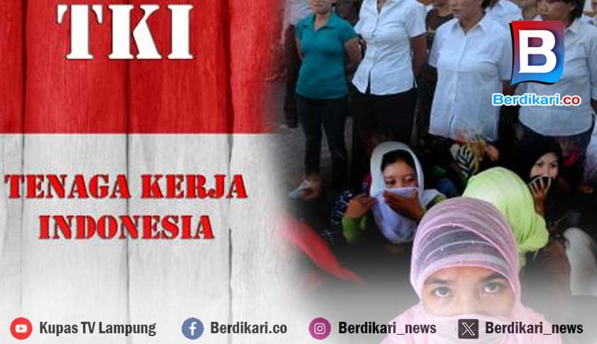 24.175 Warga Lampung Jadi Pekerja Migran Sepanjang 2025