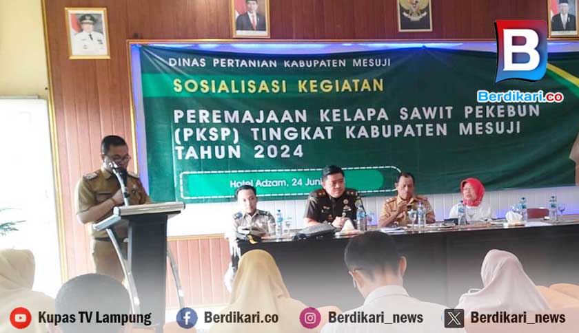 Berita