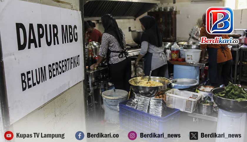 9 Dapur MBG di Lambar Belum Bersertifikat, Dua Kasus Viral Justru di Luar Daftar SLHS