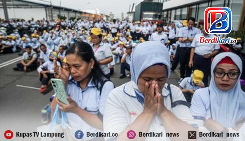 93 Pekerja di Lampung Kehilangan Pekerjaan dalam Empat Bulan Terakhir