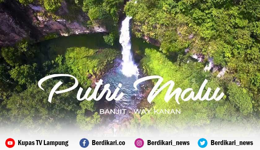 Air Terjun Putri Malu Way Kanan Lampung, Surga Tersembunyi di Hutan Tropis