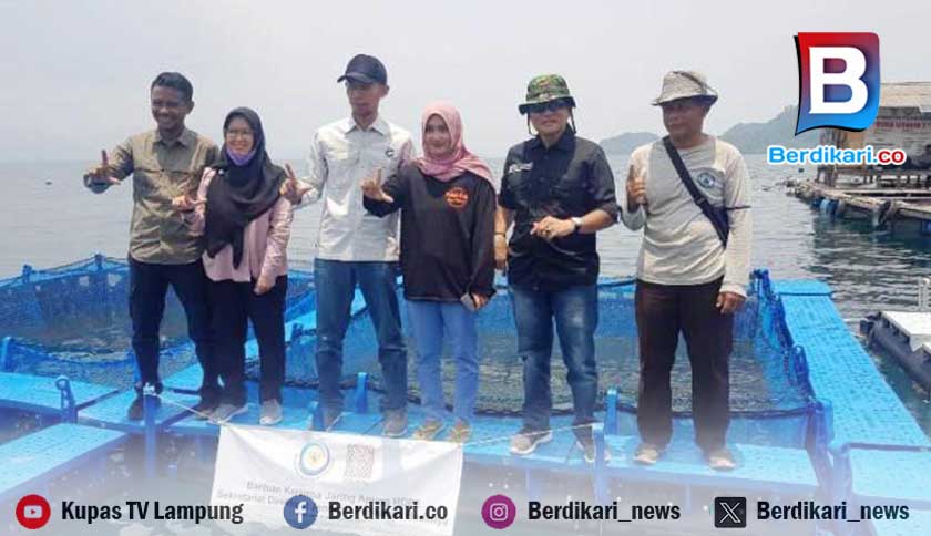 Atasi Anjloknya Harga Ikan, Pemkab Pesawaran Dorong Hilirisasi Perikanan