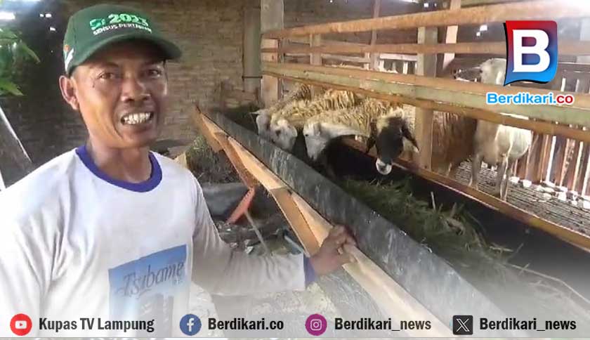 Berita