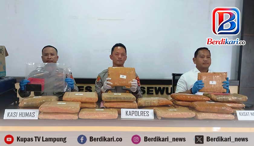 Ditangkap di Lampung, Kurir 24 Kg Ganja Asal Sumut Terancam Pidana Mati