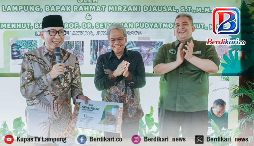 Dua Bayi Harimau Sumatera Lahir di Lampung Diberi Nama Puspa dan Muli Sikop