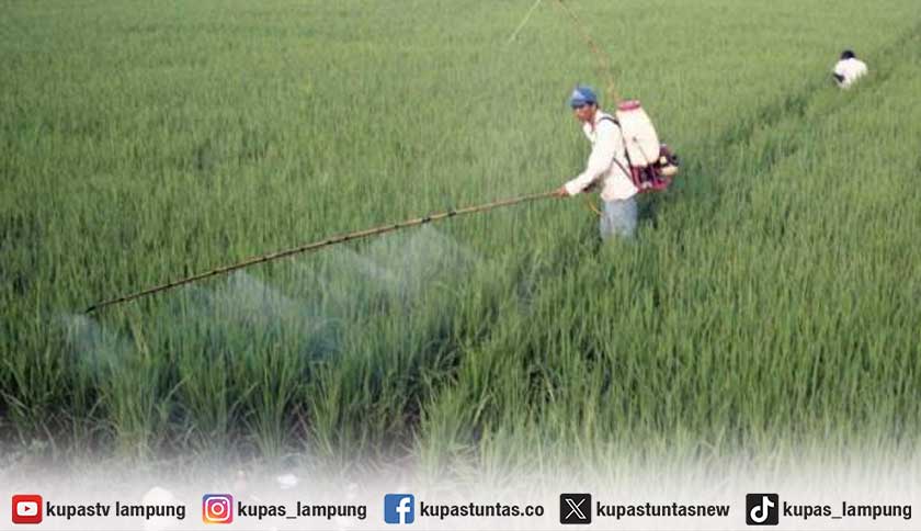 Gapoktan Belum Terima Bantuan Pupuk Organik Cair