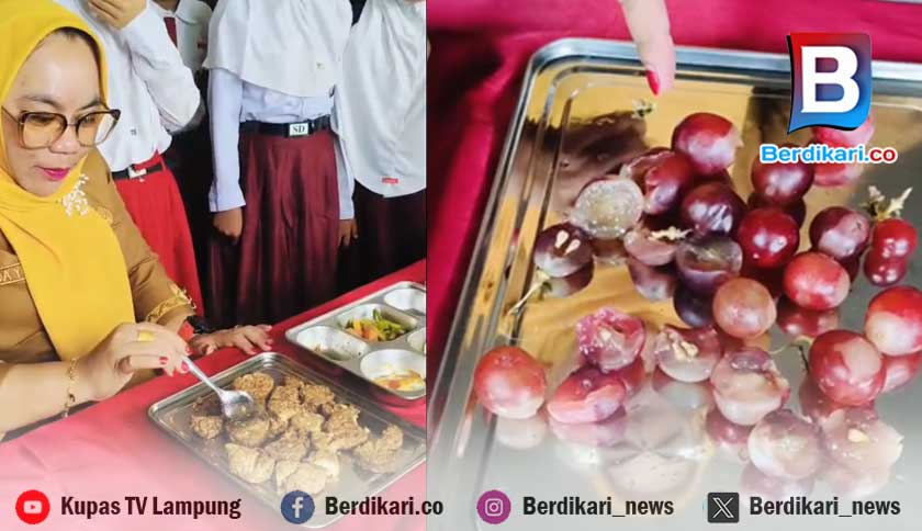 Guru SDN 3 Sindang Sari Lampura Keluhkan MBG Tak Layak Konsumsi