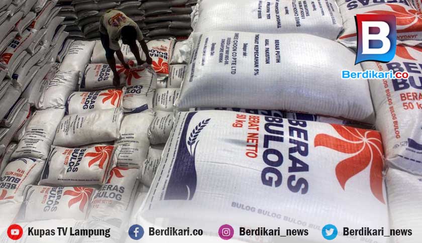 Harga Gabah di Petani Lampung Anjlok