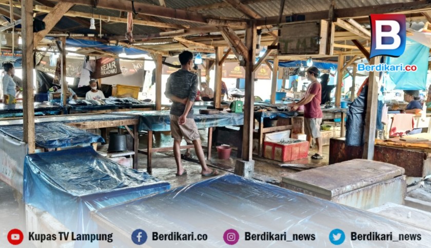 Berita