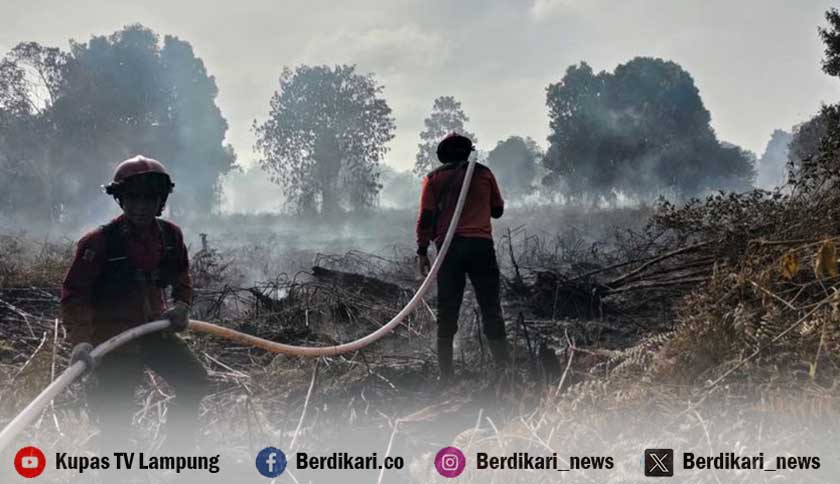 Instruksi BNPB ke Pemda: Perketat Patroli Karhutla-Petakan Sumber Air