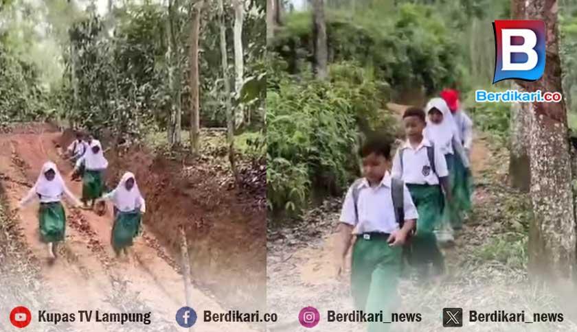 Jalan Rusak Hambat Ekonomi dan Pendidikan, Warga Datar Lebuay Minta Perhatian Pemkab Tanggamus