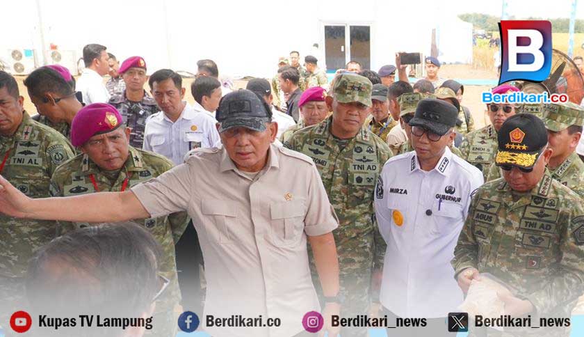 Kedelai Lampung Utara Jadi Andalan Baru Swasembada Nasional, Produksi Tembus di Atas 1,2 Ton per Hektare