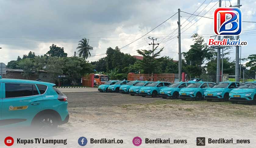 Kehadiran Taksi Listrik Dinilai Berpotensi Tambah Macet, Pemerintah Diminta Siapkan Jalur Khusus