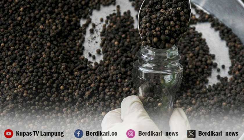 Dendam dan Persaingan Bisnis Ilegal di Lampung