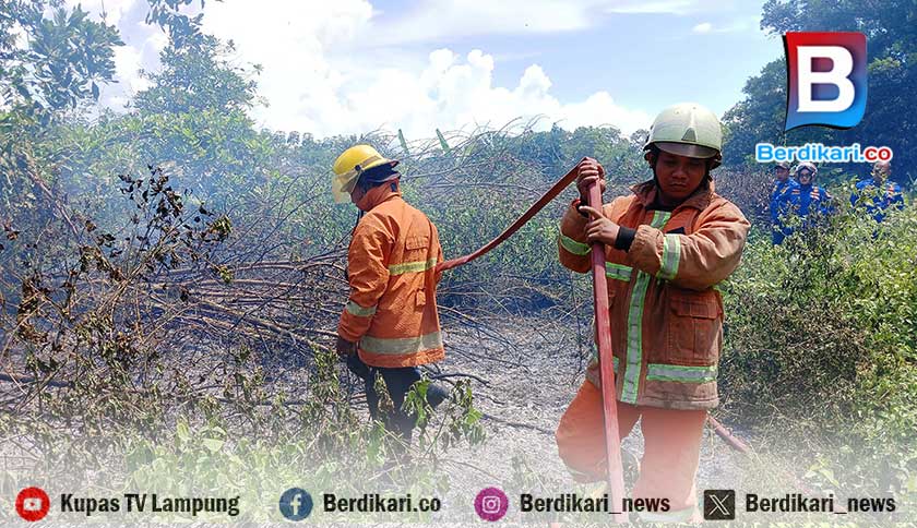 Lahan Pemakaman Tionghoa di Metro Terbakar, Diduga Akibat Pembakaran Sampah