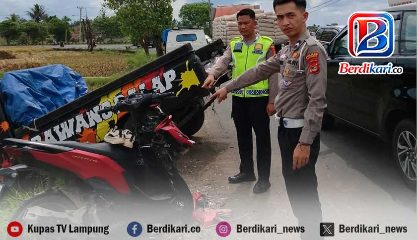 Oleng di Tikungan Krandegan Pringsewu, Pick Up Tabrak Motor, Dua Tewas