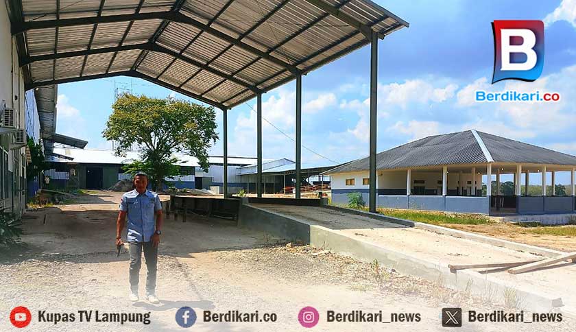 Pabrik Singkong di Lampura Diduga Bayar Gaji Karyawan di Bawah UMP