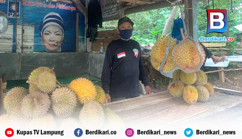 Peluang Menjanjikan Bisnis Durian di Awal Tahun