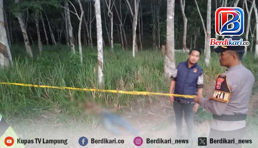 Pembunuhan Sadis di Kebun Karet, Pria di Tulang Bawang Habisi Teman Sendiri