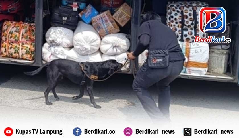 Penyelundupan 36 Kg Sabu Digagalkan di Pelabuhan Bakauheni