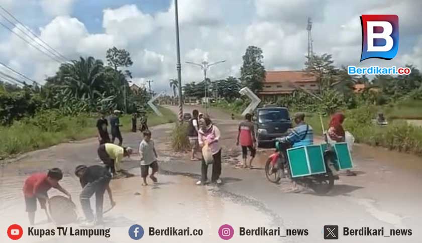 Perayaan HUT ke-25 Lampung Timur Diwarnai Aksi Warga Tebar Ikan di Jalan Rusak