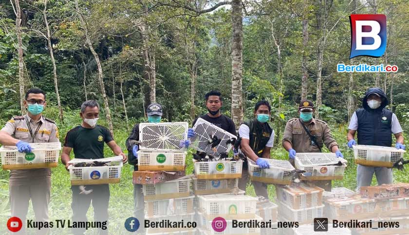Perdagangan Satwa Liar Masih Marak, 1.300 Burung Disita di Bakauheni