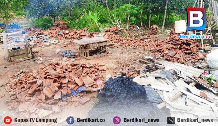 Petani di Lamtim Keluhkan Serangan Gajah Liar TNWK