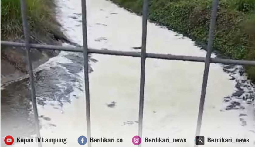 Berita