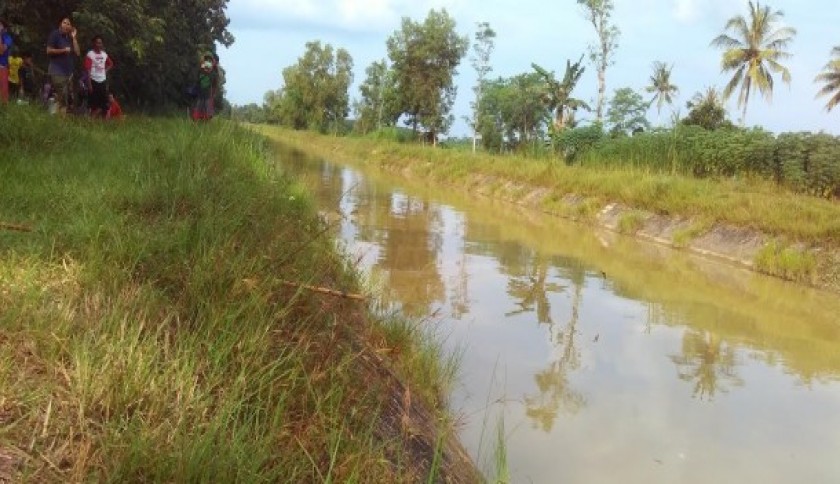 Poktan di Lampung Tengah Terbantu Berkat Program RJIT dari Kementan