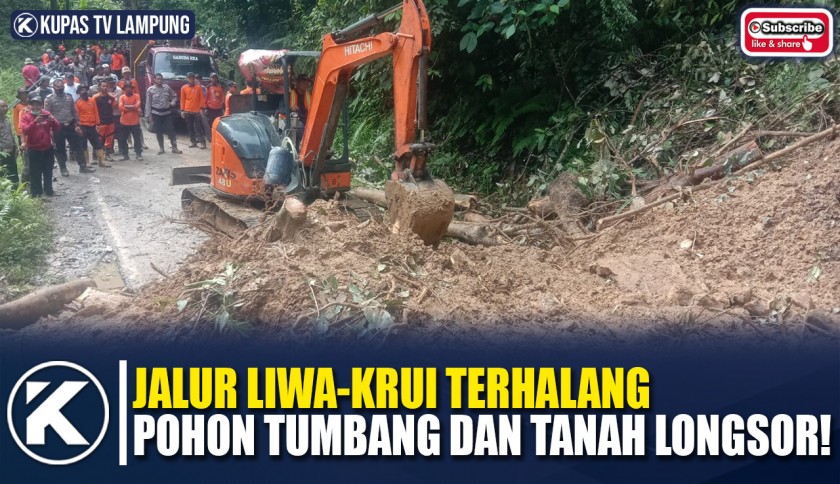 Tanah Longsor dan Pohon Tumbang di Pekon Kubu Perahu Lambar