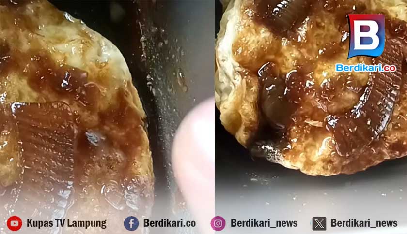 Telur Berbelatung di Menu MBG SDN 1 Karang Agung Tanggamus, Orang Tua Murid Resah